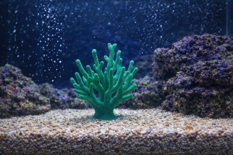 Aquarium Decoration - Custom underwater themed piece